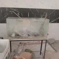 اکواریوم