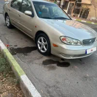 ماکسیما بسیار تمیز