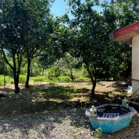 اجاره روزانه/هفتگی/ساعتی