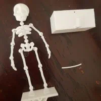 اسکلت رقصان اکواریوم