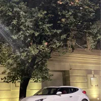 ولستر کمیاب 2013 ارس پلاک