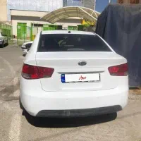 فروش کیا سراتو درجه یک