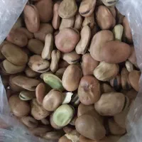 فروش دو تن و نیم باقلا خشک