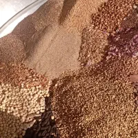 قاووت کرمان