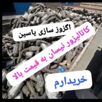خرید و فروش تخصصی کاتالیزور خودرو|قطعات یدکی و لوازم جانبی|ایرانشهر, |دیوار