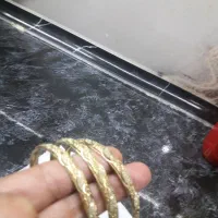 ۳عدد النگوی بدل درحدنو