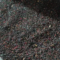 زرشک خشک و تر کوهی|خوردنی و آشامیدنی|شیراز, گلستان|دیوار