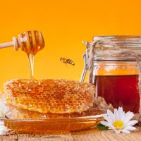 عسل طبیعی کردستان(گون)|خوردنی و آشامیدنی|تهران, آسمان|دیوار