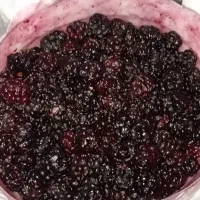شاتوت درشت اعلا