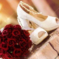 آتلیه و استودیو عکاسی و فیلمبرداری از مجالس|خدمات پذیرایی، مراسم|تبریز, |دیوار