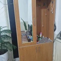 جاکفشی ایستاده