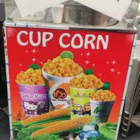 دستگاه ذزت مکزیکی