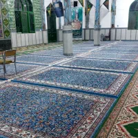 فروش قالی نو|فرش|زرند, |دیوار
