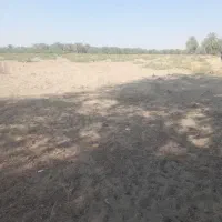 اجاره یک هکتار زمین کشاورزی لب جاده اصلی