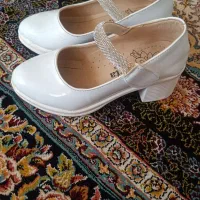 کفش مجلسی