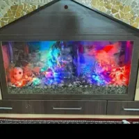 اکواریوم|ماهی|گلستان (تهران), |دیوار