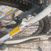 سه چرخه و دوچرخه|دوچرخه، اسکیت، اسکوتر|قم, شهرک امام حسین|دیوار