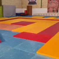 شیاب جانگ جودو ، کوراش، جوجیتسو ، تاتامی جودو