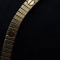 استخدام طلا ساز