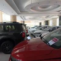 ساینا اس کوئیک صفر خشک