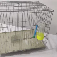 قفس|لوازم جانبی حیوانات|سنندج, |دیوار