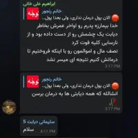 قند بالا تمام شد گیاهی|خوردنی و آشامیدنی|شیراز, قصرالدشت|دیوار