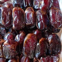 خرمای کبکاب