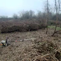 هرس علف های هرز و قطع درخت|خدمات باغبانی و درختکاری|فومن, |دیوار