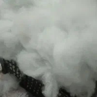 لایکو درجه یک قیمت عالی