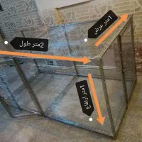 قفس مرغ کبوتر وعروس هلندی و سگ و گربه|لوازم جانبی حیوانات|بندر گناوه, |دیوار