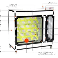 دستگاه جوجه کشی شتر مرغ
