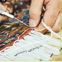 قالیشویی بخششی پردیس رودهن بومهن گیلاوند دماوند|خدمات نظافت|پردیس, فاز ۴|دیوار