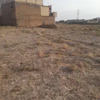 زمین-کشاورزی