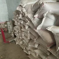 بذرگندم آبی