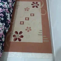 قالی و قالیچه و پادری