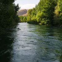 زمین