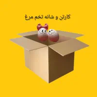 کارتن و شانه تخم مرغ آیتک
