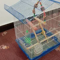 قفس پرنده