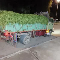 کاه نیشکر وحمل بار|خدمات حمل و نقل|مسجد سلیمان, |دیوار