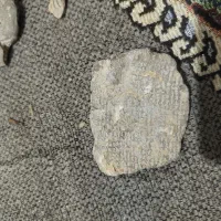 سنگ فسیل|کلکسیون اشیاء عتیقه|فاضل آباد, |دیوار