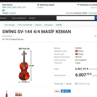 ویولون Swing SV-144 4/4|ویولن|نقده, |دیوار