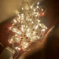 ریسه دو متری پروانه ای