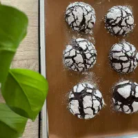 انواع کوکی پذیرایی و کافیشاپی|خوردنی و آشامیدنی|شیراز, معالی‌آباد|دیوار