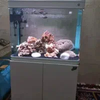 اکواریوم k800درحد