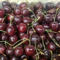 گیلاس تک کرمجگان
