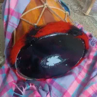 دمام ترق پوست ساخت مشهد ... شیپور سنج طبل