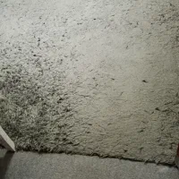 قالی شگی ۶ متری