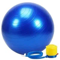 توپ بزرگ ورزشی (جیم بال)