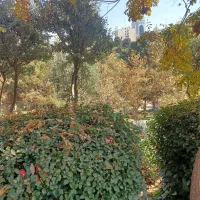 استادپرداختکار شیرآلات نیازمندهستیم درکشورترکیه