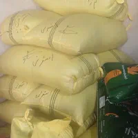 پخش تخمه ایرانی خارجی|خوردنی و آشامیدنی|کرج, میدان میوه و تره بار مرکزی|دیوار